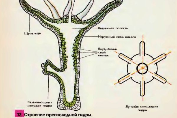 Кракен 15 сайт